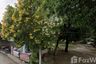 Land for sale in Sattahip, Chonburi