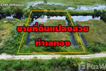 Land for sale in Lam Ta Sao, Phra Nakhon Si Ayutthaya
