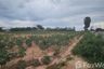 Land for sale in Huai Yai, Chonburi