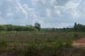 Land for sale in Lo Yung, Phang Nga