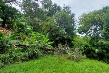 Land for sale in Kamala, Phuket