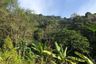 Land for sale in Kathu, Phuket