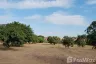 Land for sale in Nong Prue, Chonburi