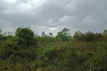 Land for sale in 