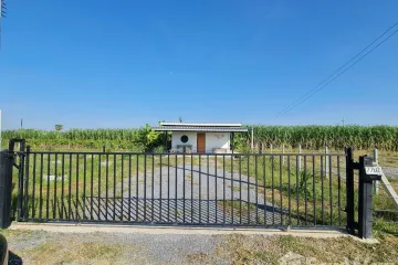 Land for sale in Kratip, Nakhon Pathom