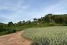 Land for sale in Mai Khao, Phuket