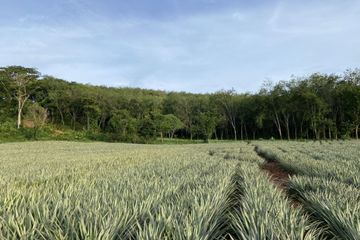 Land for sale in Mai Khao, Phuket