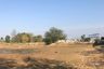 Land for sale in Bang Lamung, Chonburi
