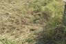 Land for sale in Bang Phra, Chonburi