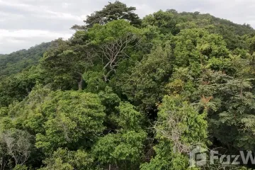 Land for sale in Ko Tao, Surat Thani