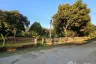 Land for sale in Rop Wiang, Chiang Rai
