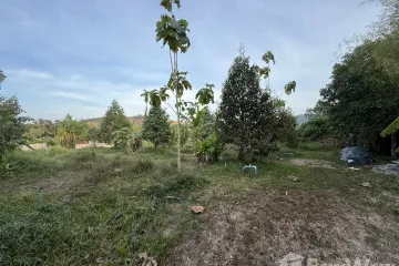 Land for sale in Si Sunthon, Phuket
