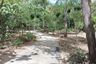 Land for sale in Nong Pla Lai, Chonburi