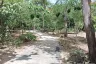 Land for sale in Nong Pla Lai, Chonburi