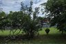 Land for sale in Baan Suan Neramit 3, Si Sunthon, Phuket