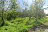 Land for sale in Thung Luang, Chumphon