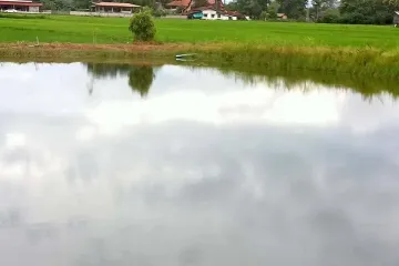 Land for sale in Phra Bat, Lampang