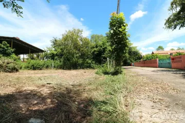 Land for sale in Non Sung, Udon Thani