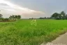 Land for sale in Ban Rai, Phitsanulok