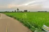 Land for sale in Ban Rai, Phitsanulok