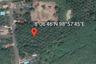 Land for sale in Krabi Noi, Krabi