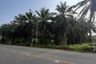 Land for sale in Krabi Noi, Krabi