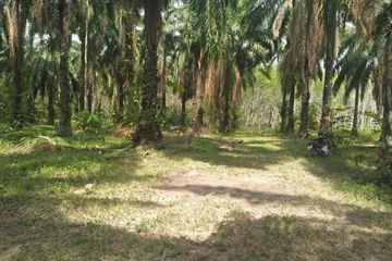 Land for sale in Krabi Noi, Krabi