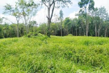 Land for sale in Choeng Thale, Phuket