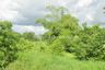 Land for sale in Chong Khae, Nakhon Sawan