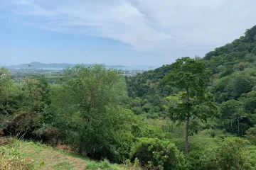 Land for sale in Chalong, Phuket