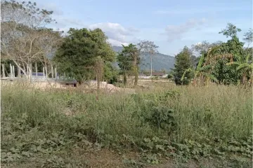 Land for sale in Khao Phra, Nakhon Nayok