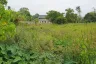 Land for sale in Chalong, Phuket