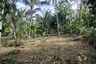 Land for sale in Chalong, Phuket