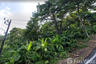 Land for sale in Karon, Phuket