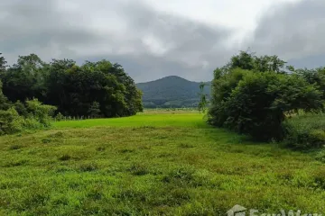 Land for sale in Doi Lan, Chiang Rai