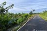 Land for sale in Wang Kai Thuean, Chainat