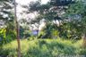 Land for sale in Wang Kai Thuean, Chainat
