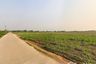 Land for sale in Thep Nakhon, Kamphaeng Phet