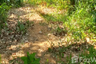 Land for sale in Lo Yung, Phang Nga