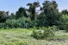 Land for sale in Hua Sai, Nakhon Si Thammarat