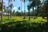 Land for sale in Pa Khlok, Phuket
