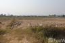 Land for sale in Mae Khao Tom, Chiang Rai