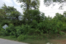 Land for sale in Pong Yang Khok, Lampang