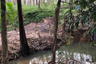 Land for sale in Khao Thong, Krabi