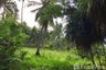 Land for sale in Bang Nam Chuet, Chumphon