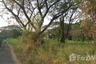 Land for sale in Talat Chinda, Nakhon Pathom