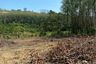 Land for sale in Pa Khlok, Phuket