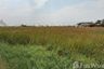 Land for sale in Lat Krabang, Bangkok near Airport Rail Link Lat Krabang