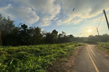 Land for sale in Thep Krasatti, Phuket