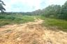 Land for sale in Pa Khlok, Phuket